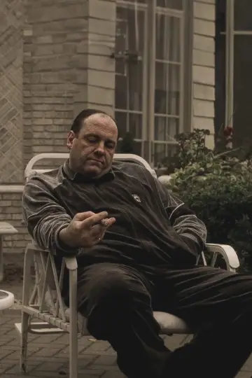 Poster for the TV series "The Sopranos" #1600144