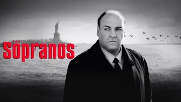 Backdrop for the TV series "The Sopranos" #1782574
