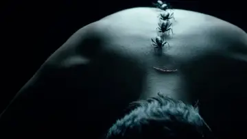 Backdrop for the TV series "American Horror Story" #1247125