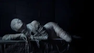 Backdrop for the TV series "American Horror Story" #1247239