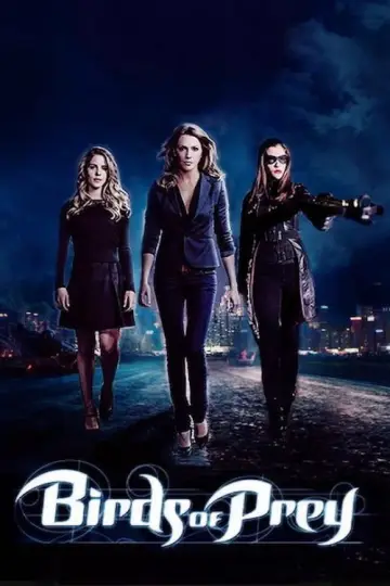 Poster for the TV series "Birds of Prey" #1606953