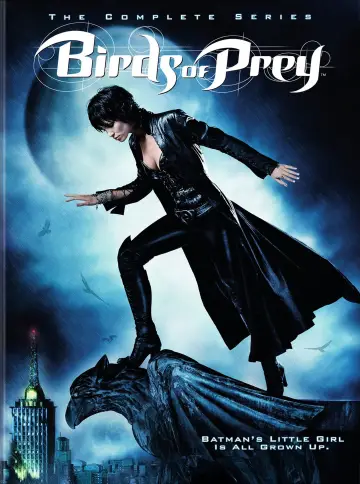 Poster for the TV series "Birds of Prey" #1606959
