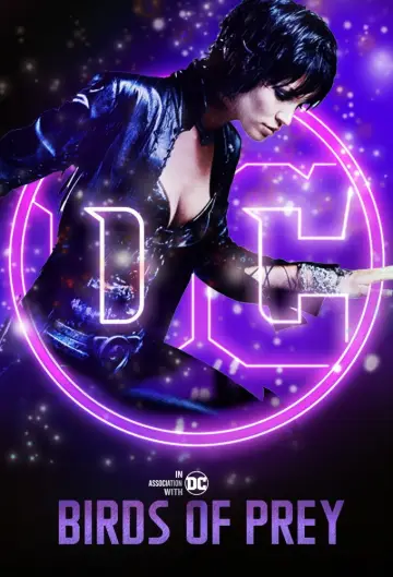 Poster for the TV series "Birds of Prey" #1606960