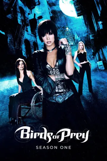 Poster for the TV series "Birds of Prey" #1735635