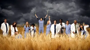 Backdrop к сериалу "Grey