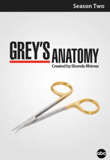 Poster for the TV series "Grey