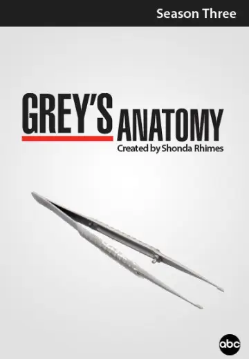 Poster for the TV series "Grey