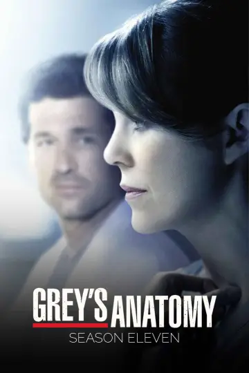Poster for the TV series "Grey
