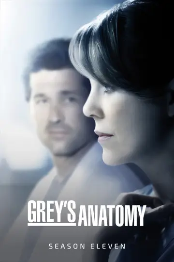Poster for the TV series "Grey