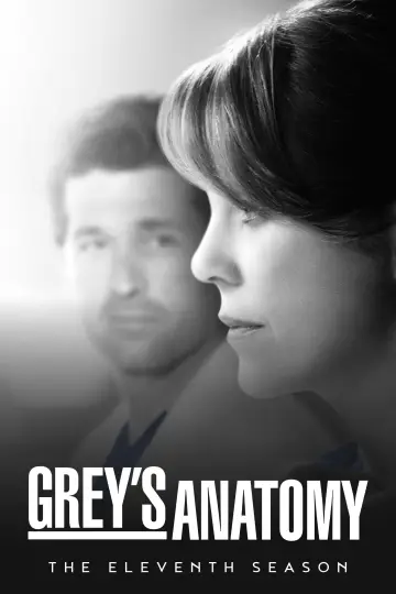 Poster for the TV series "Grey