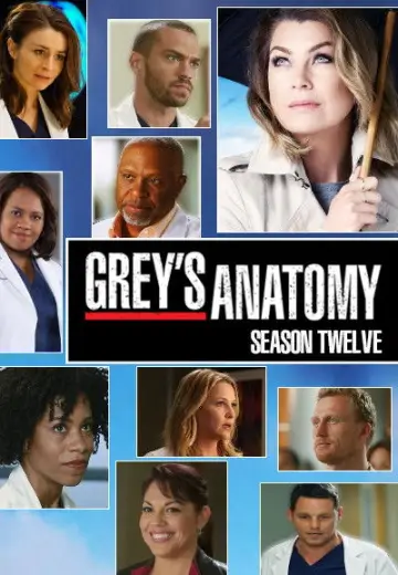 Poster for the TV series "Grey