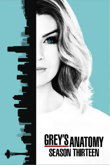 Poster for the TV series "Grey