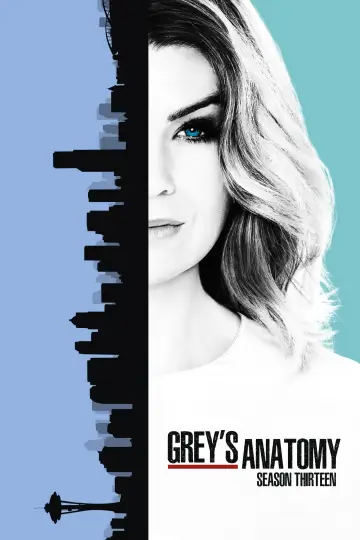 Poster for the TV series "Grey