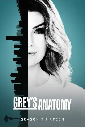 Poster for the TV series "Grey