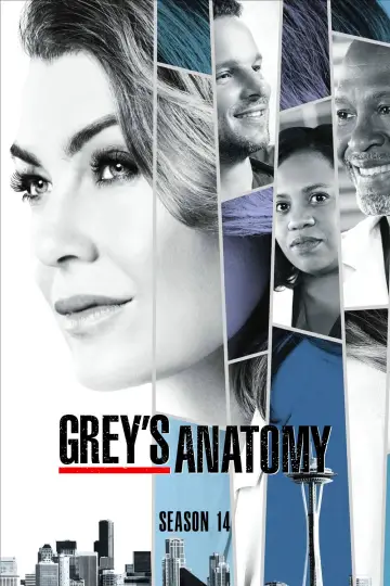 Poster for the TV series "Grey