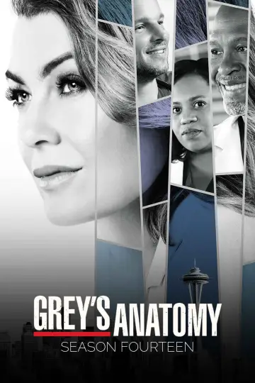 Poster for the TV series "Grey