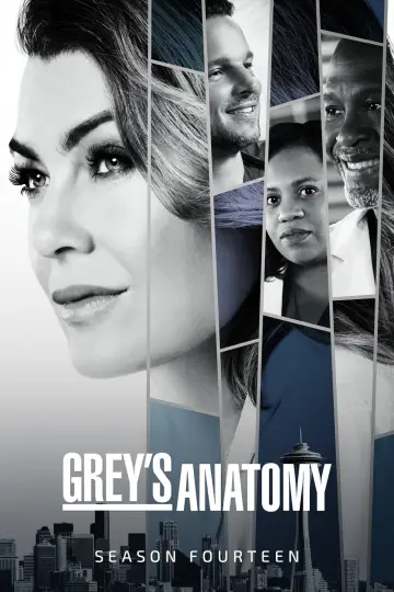 Poster for the TV series "Grey