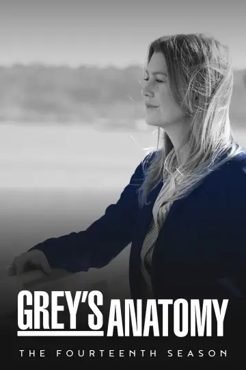 Poster for the TV series "Grey