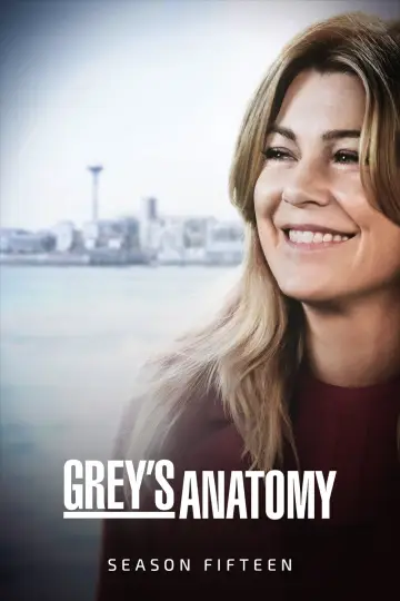 Poster for the TV series "Grey