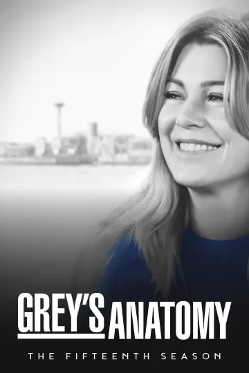 Poster for the TV series "Grey
