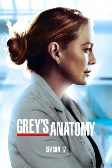 Poster for the TV series "Grey