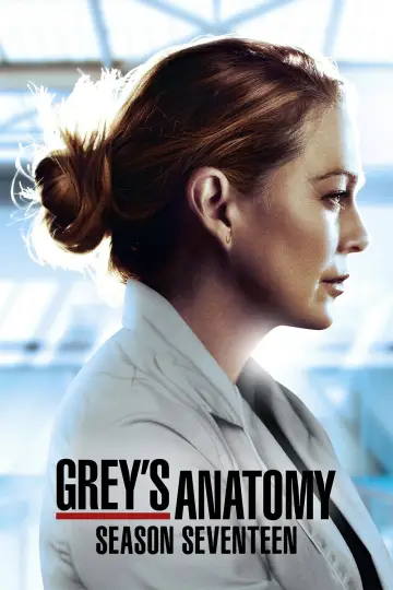 Poster for the TV series "Grey