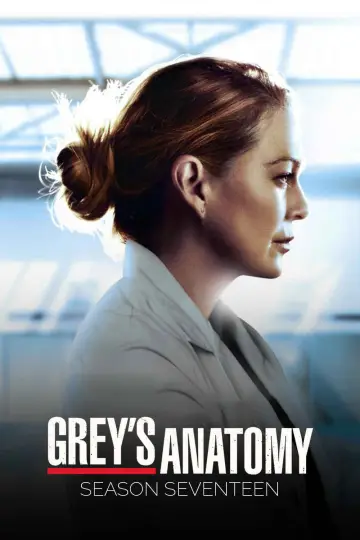 Poster for the TV series "Grey