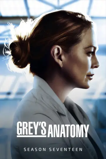 Poster for the TV series "Grey