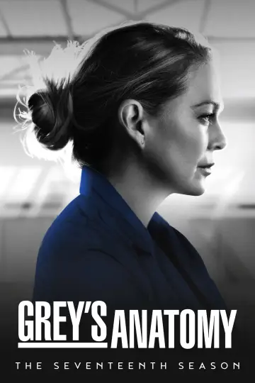 Poster for the TV series "Grey
