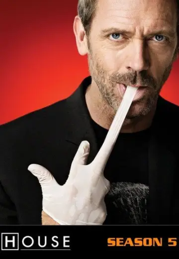 Poster for the TV series "House" #1241394