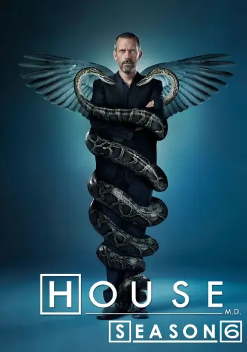 Poster for the TV series "House" #1241426