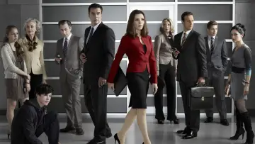Backdrop for the TV series "The Good Wife" #1248616