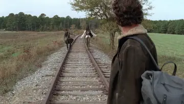Backdrop к сериалу "The Walking Dead" #1234993