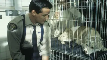 Backdrop к сериалу "Due South" #1333303