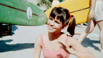 Backdrop for the TV series "Gidget" #1930854