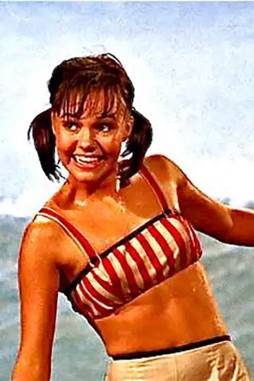 Poster for the TV series "Gidget" #1930861
