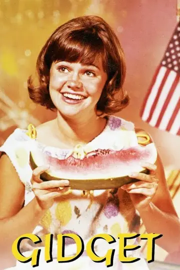 Poster for the TV series "Gidget" #1930862