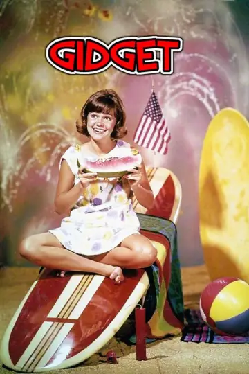 Poster for the TV series "Gidget" #1930863