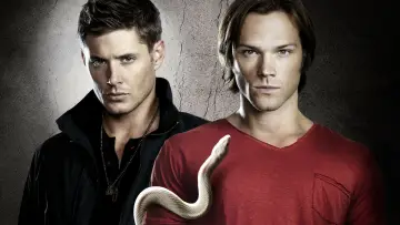Backdrop к сериалу "Supernatural" #1232771