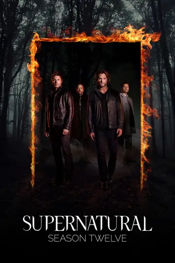 Poster for the TV series "Supernatural" #1239332