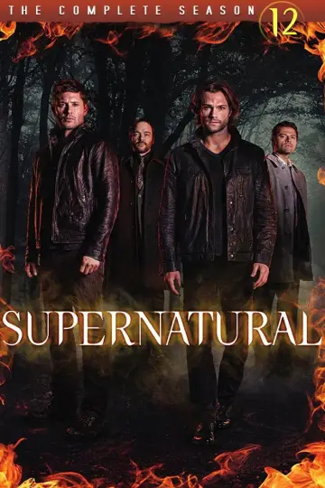 Poster for the TV series "Supernatural" #1239335
