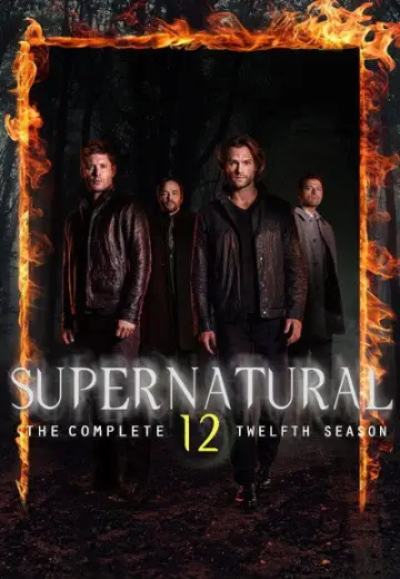 Poster for the TV series "Supernatural" #1239337