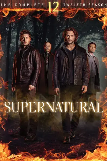 Poster for the TV series "Supernatural" #1239346