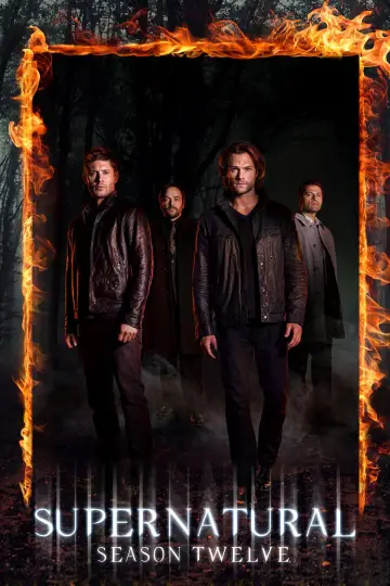 Poster for the TV series "Supernatural" #1239350