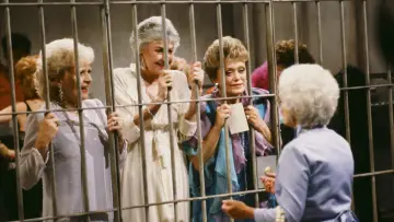 Backdrop for the TV series "The Golden Girls" #1305774