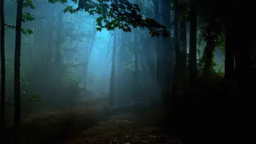 Backdrop к сериалу "Fringe" #1272711