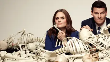 Backdrop к сериалу "Bones" #1241141