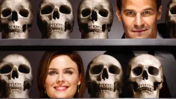 Backdrop к сериалу "Bones" #1241143