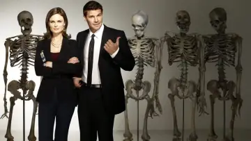 Backdrop к сериалу "Bones" #1241203