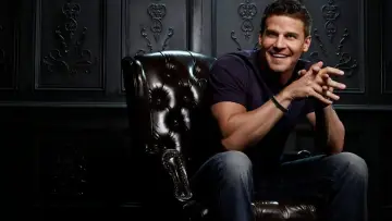 Backdrop к сериалу "Bones" #1241217